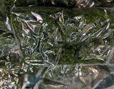 『生あおさ（ヒトエグサ）』 長崎県五島列島産 約30g×2袋 ※冷蔵 三清