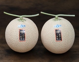 春の品評会入賞者限定『クラウンメロン』静岡県産 山等級 2玉（1玉 約1.3kg）化粧箱 ※常温