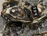 生食用『隠岐の岩牡蠣 海輝王』 島根県産 2個（400gUP／個） ※冷蔵 三清