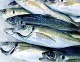 『瀬付きあじ（鱗、エラ、はらわた取り）』 山口県産 2尾 （原魚で230〜270g／尾） ※冷蔵 泉久 【卸リクエスト可】 刺身用